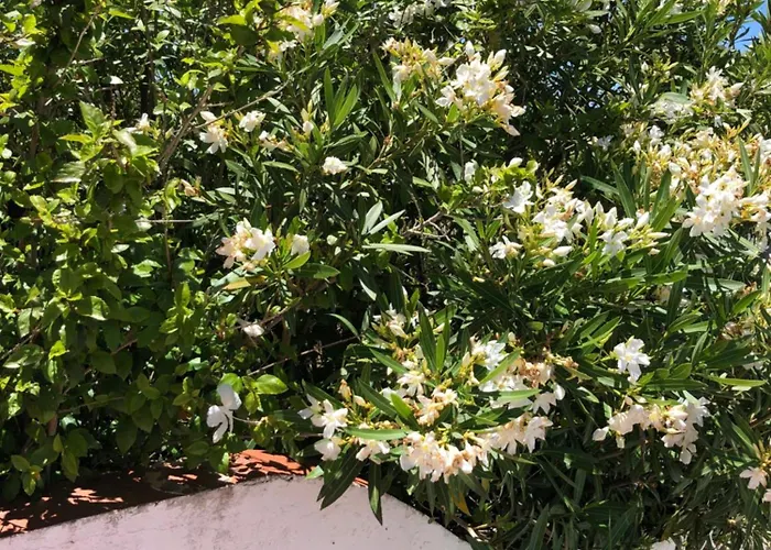 Genies Boutique Algarve *